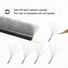 XIUSUZAKI W Shaped Lashes Bloom 2D 3D 4D 5D 6D 7D 8D Automatic Flowering Premade Fans Eyelashes Extensions YY Individual Lashes
