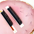 ARTSTAR 12 Rows/Tray False Eyelashes J B Curl 6-20mm Eyelash Extensions Matte Black Lashes Makeup Tool